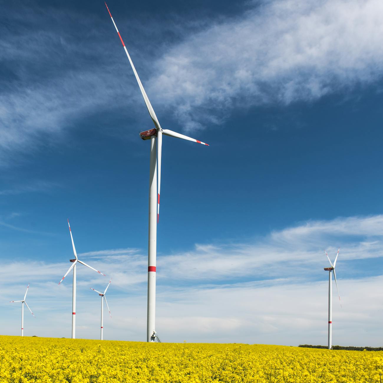 Energy Regulation and Policy  