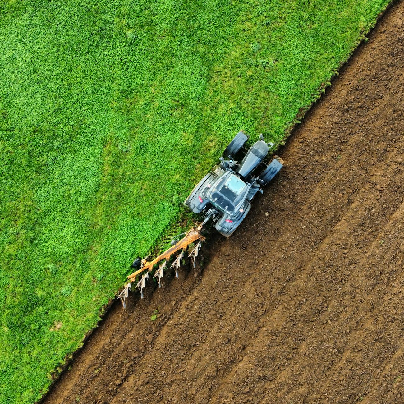 Sustainable Practices in Food Supply Chains  