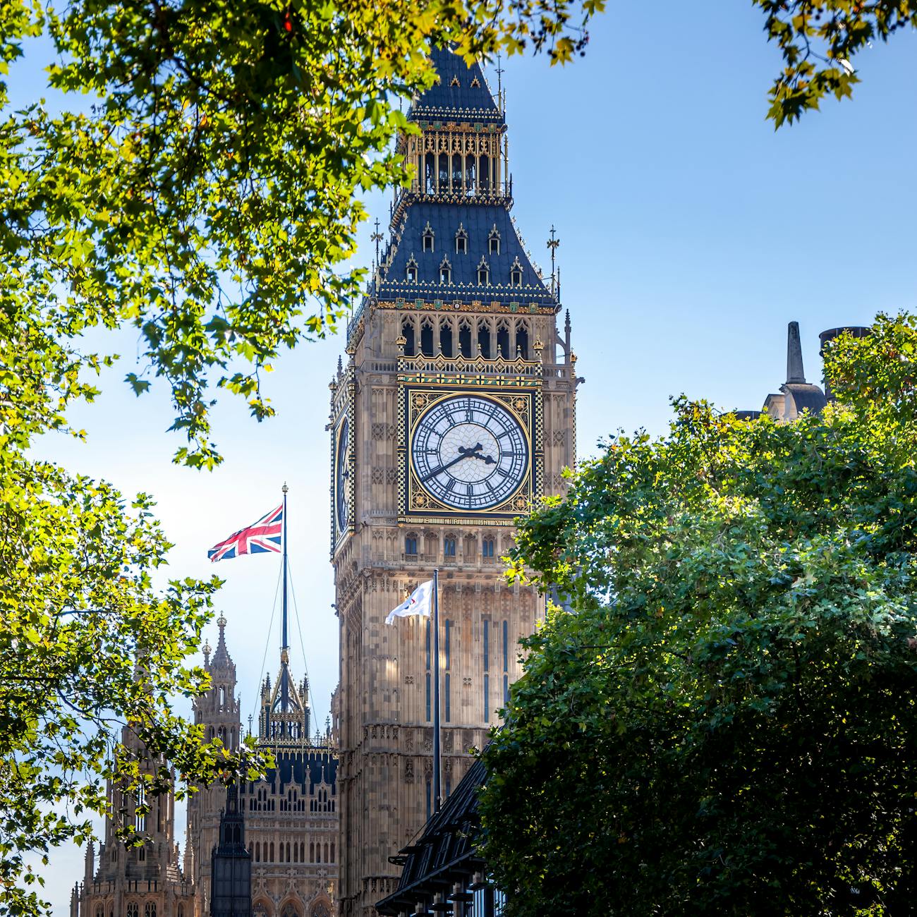 VAT Penalties and Appeals (United Kingdom)