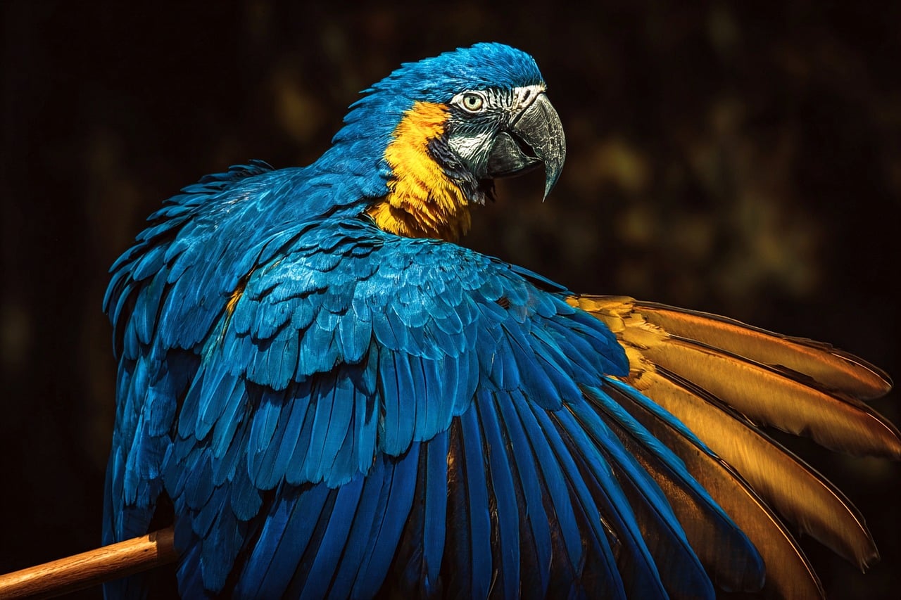 First aid for exotic animals with wounds and bleeding