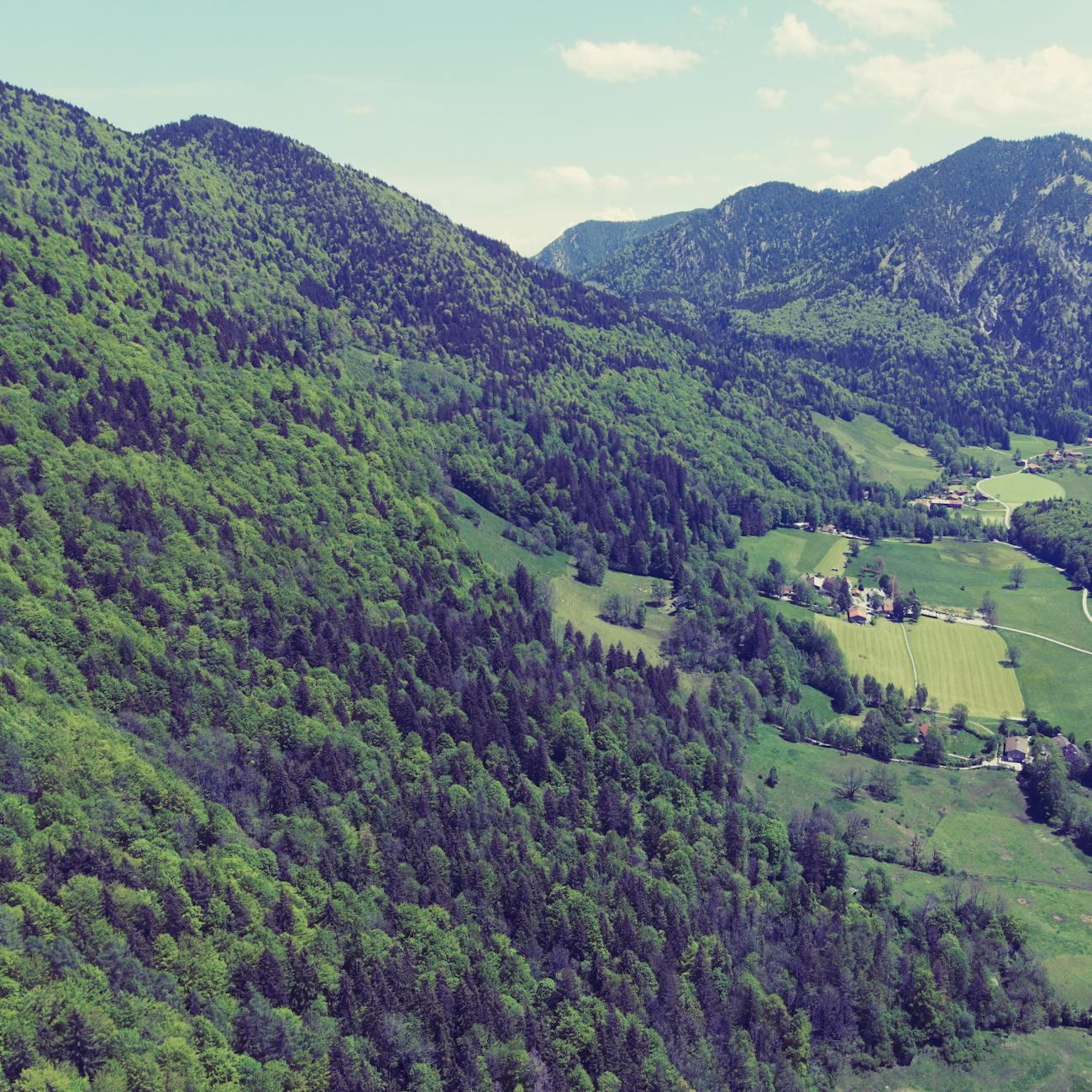 Strategic Environmental Assessment