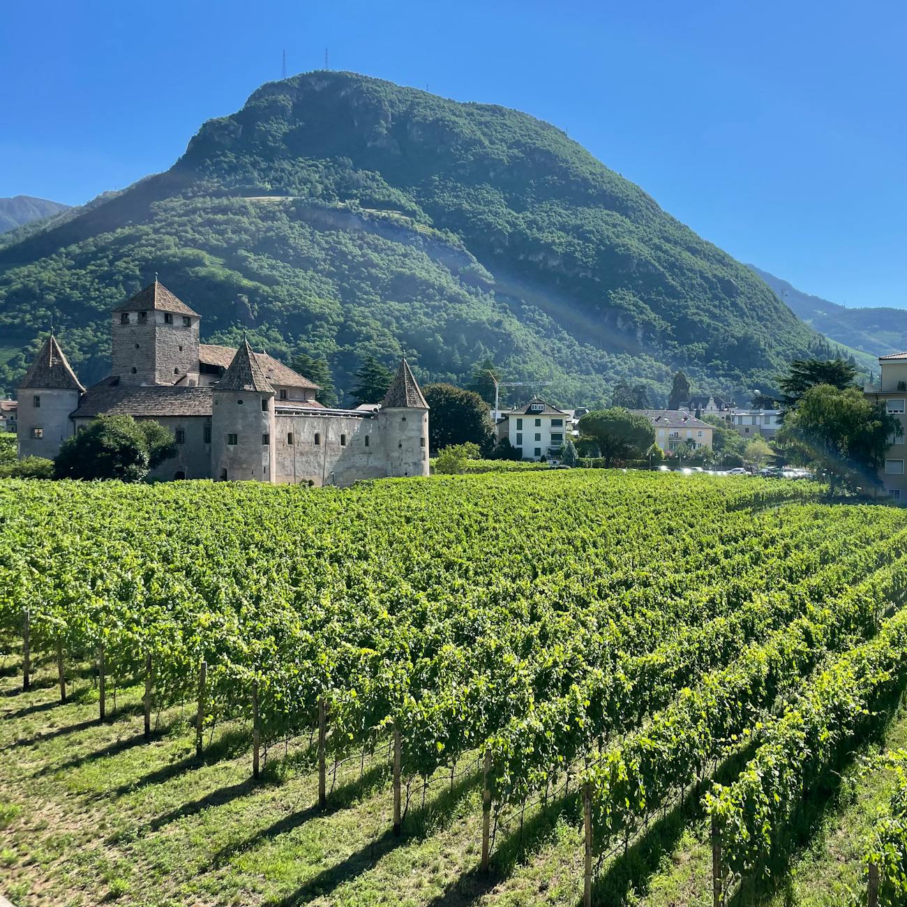 Wine Certification and Labeling Regulations