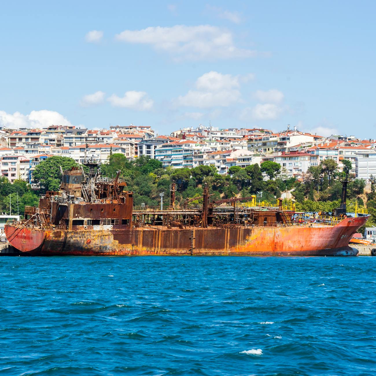 Environmental Regulations in the Cruise Industry  