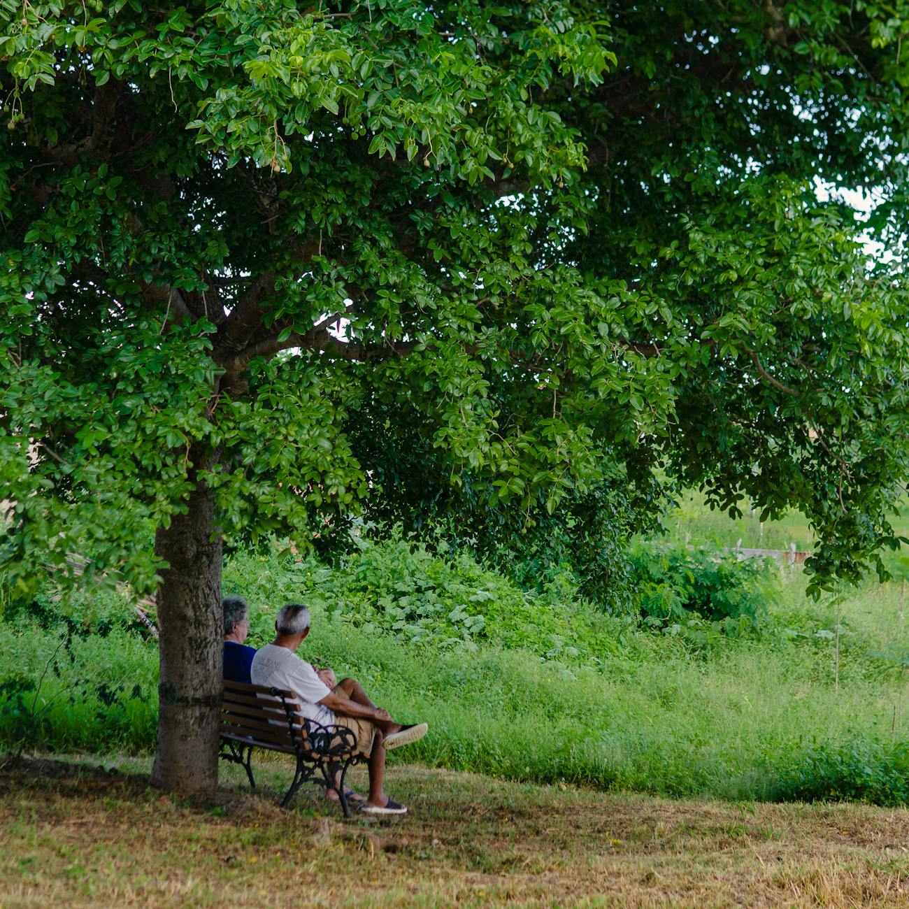 Social and Family Dynamics in Retirement