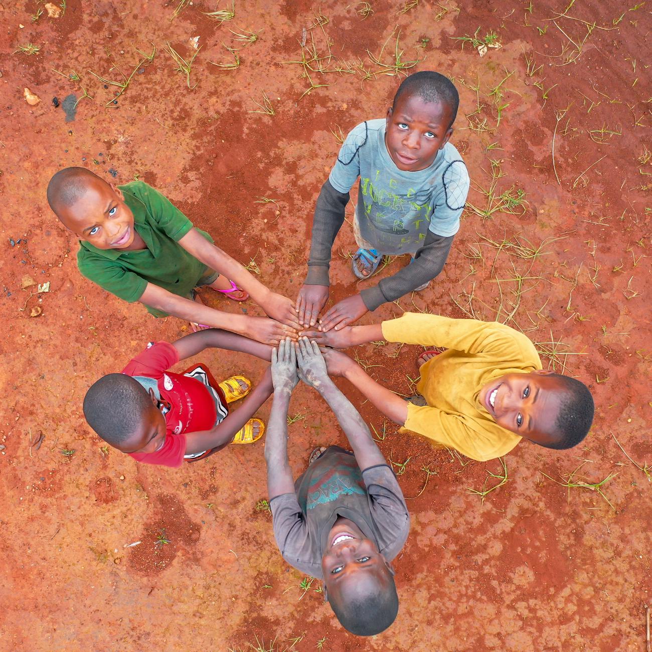 Diversity and Inclusion in Curriculum Development