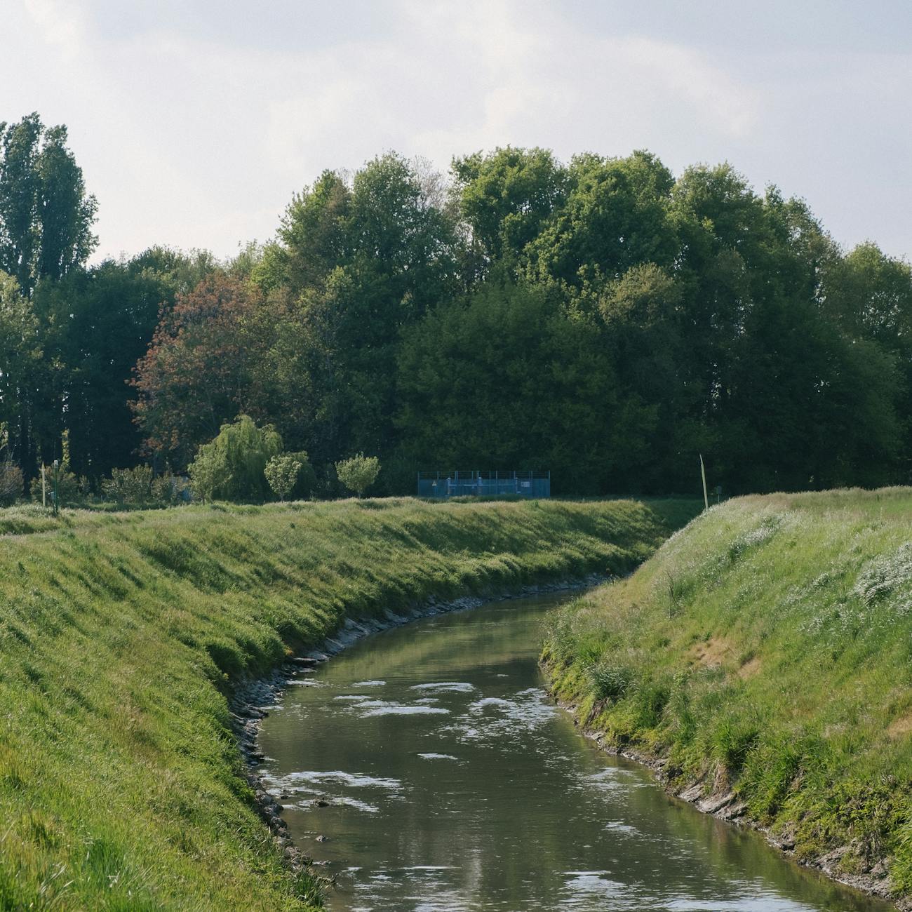 Predictive Analytics in Flood Management