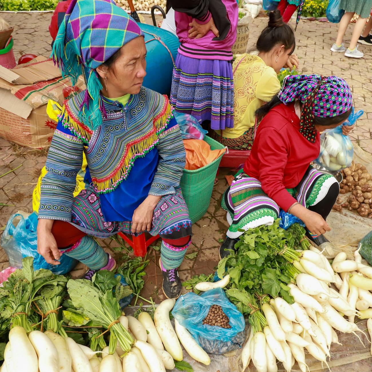 Ethical and Cultural Considerations in Plant-Based Diets