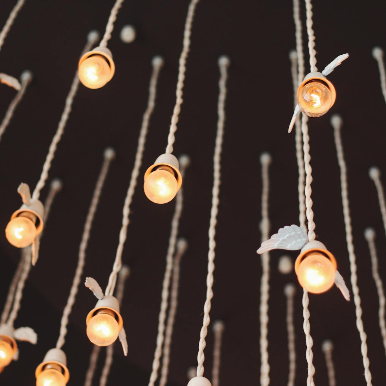 lighting for special events and functions
