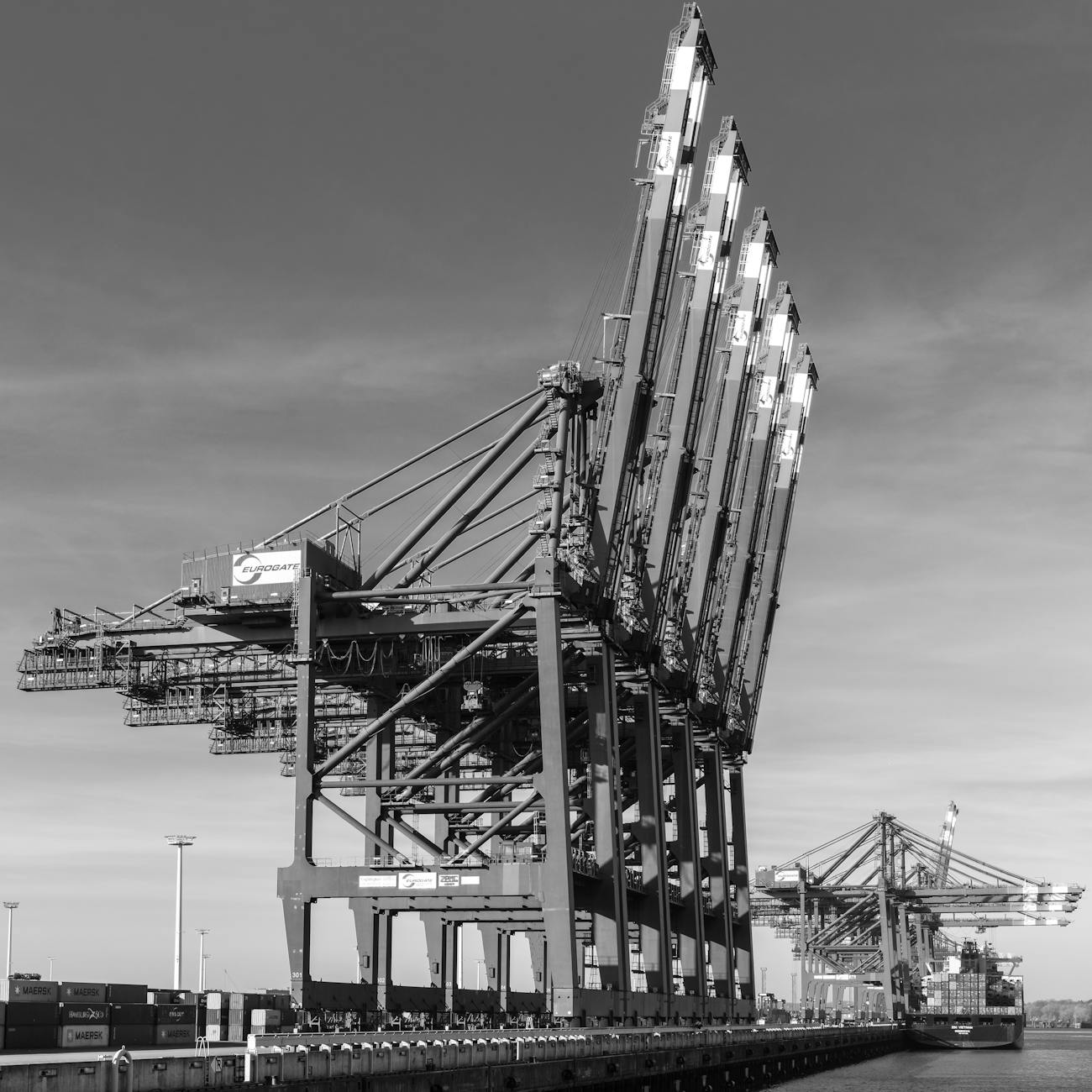 trade sanctions and embargoes
