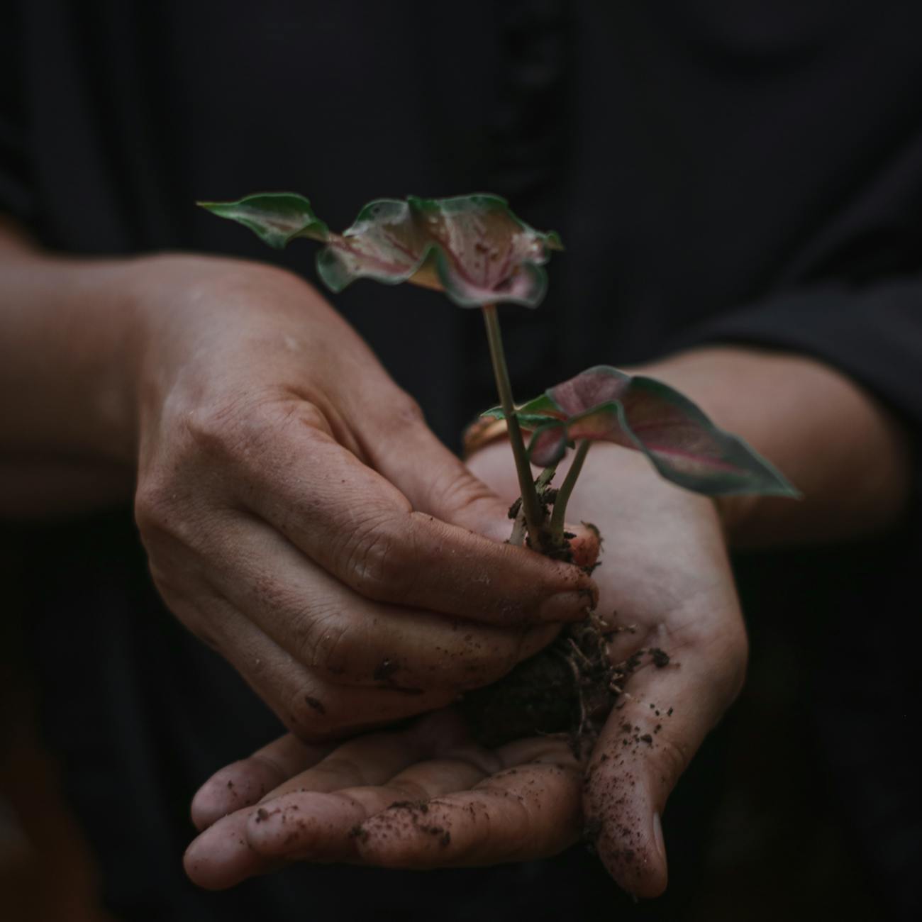 Corporate Giving and Philanthropy