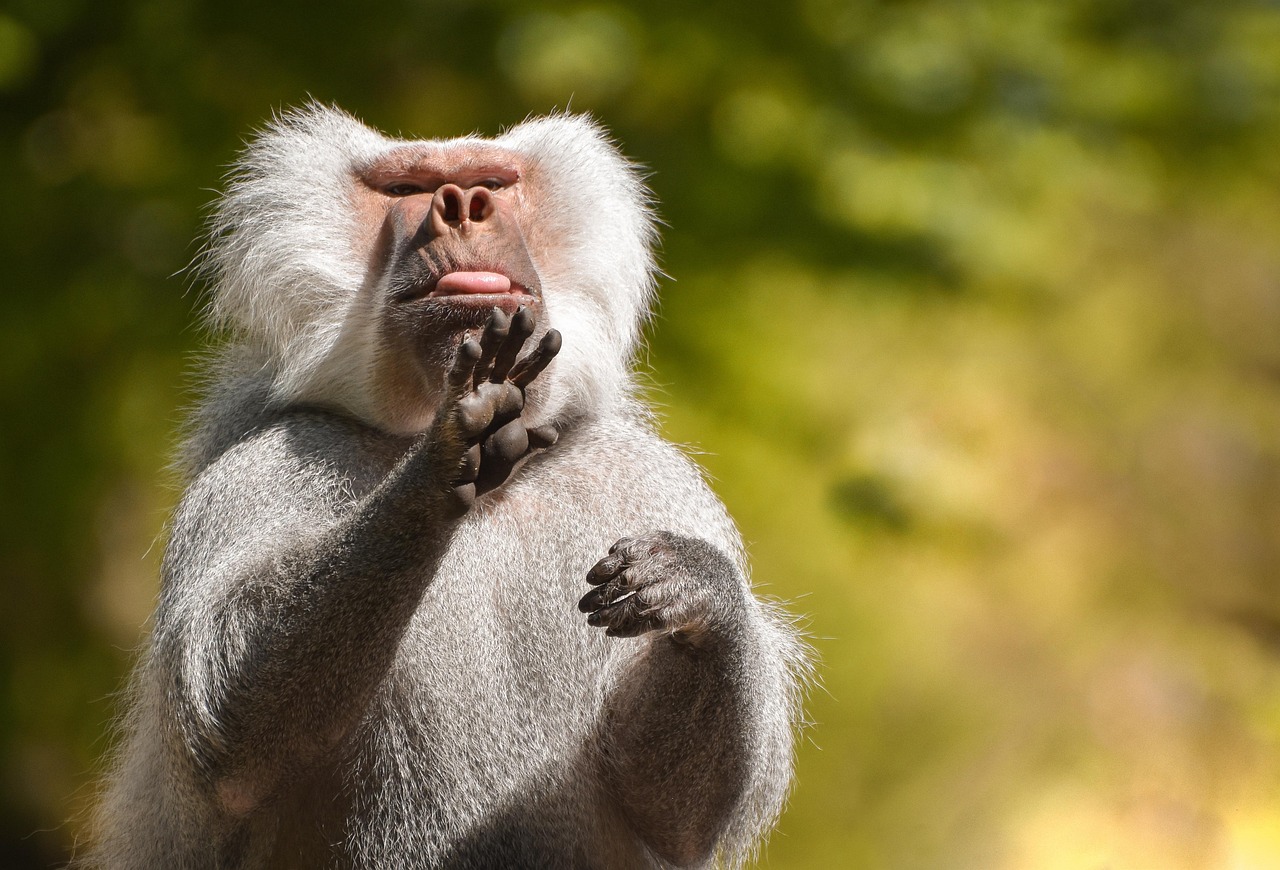 Functional behavior assessment