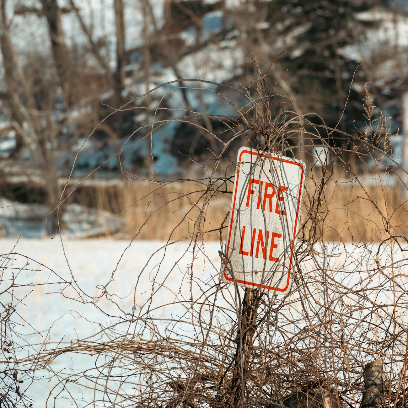 Fire suppression strategies