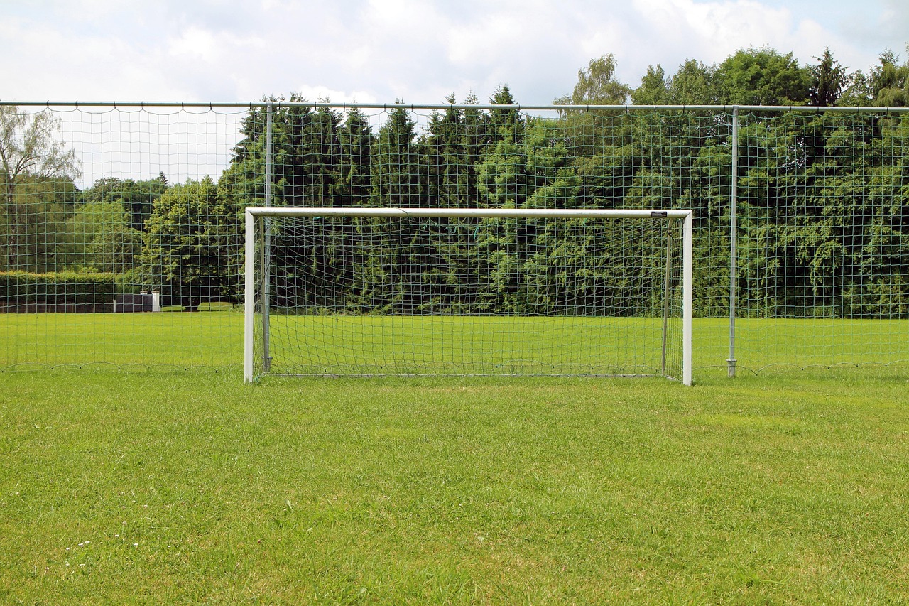 Motivation and Goal Setting