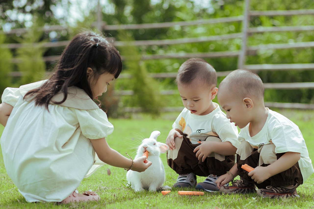Identifying and Responding to Abuse