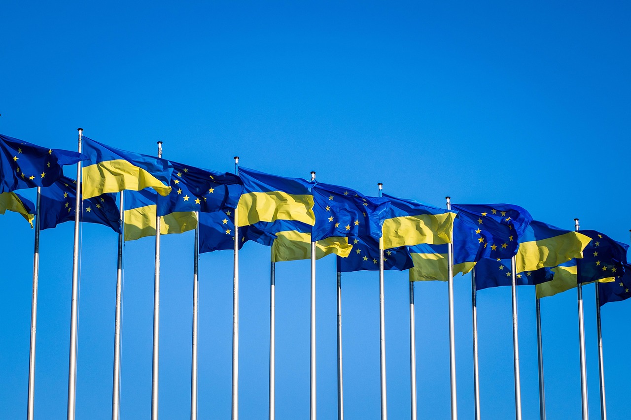 International Energy Law and Cooperation