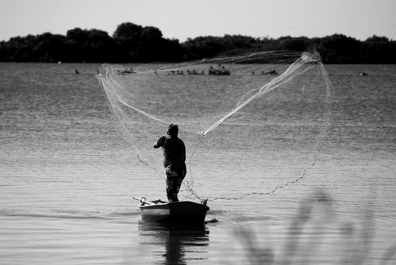 Fisheries Data Collection and Analysis