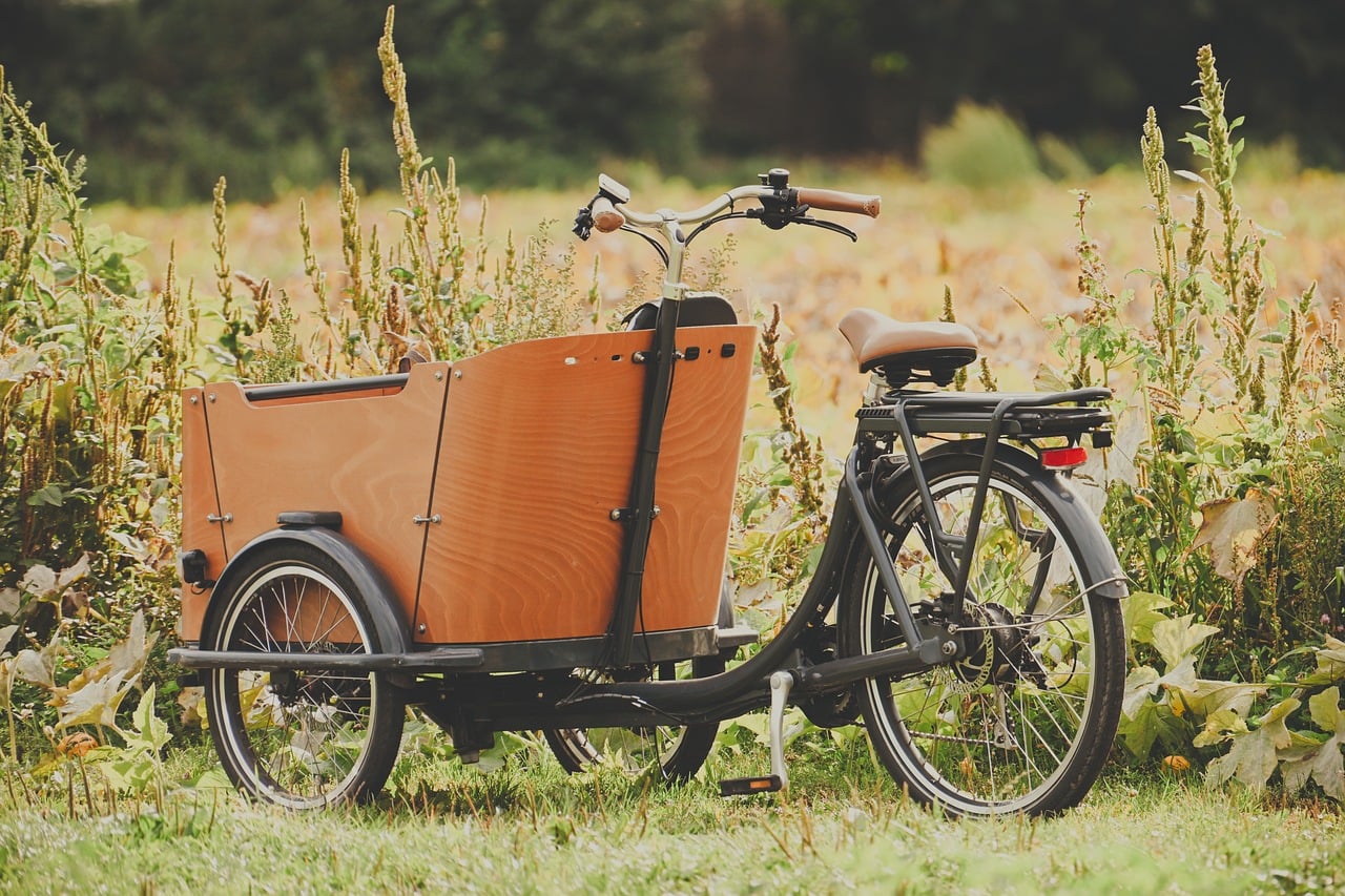 Foundations of Sustainable Transport Policy