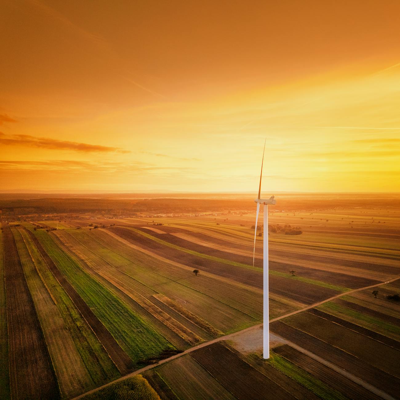 Data Analytics for Agricultural Decision Making (United Kingdom)