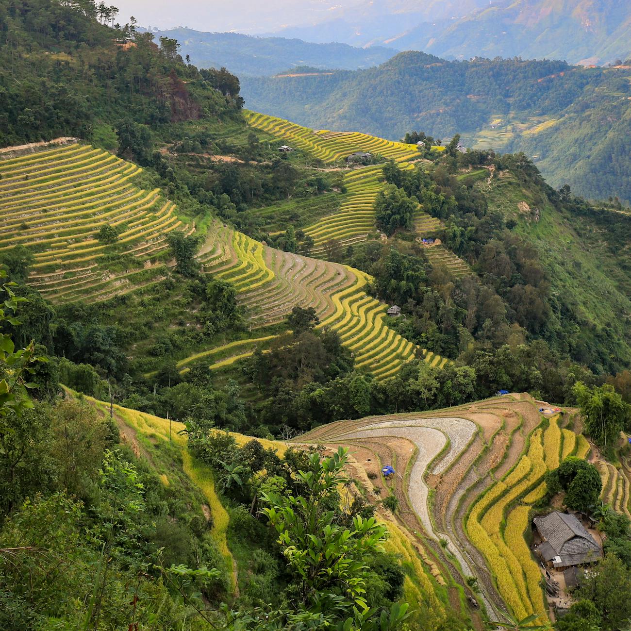 Sustainable Farm Management