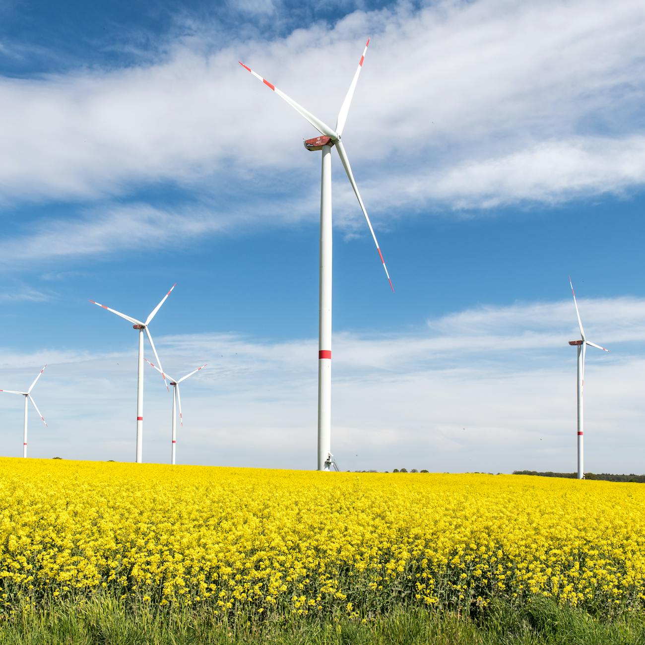 Renewable Energy Grid Integration (United Kingdom)