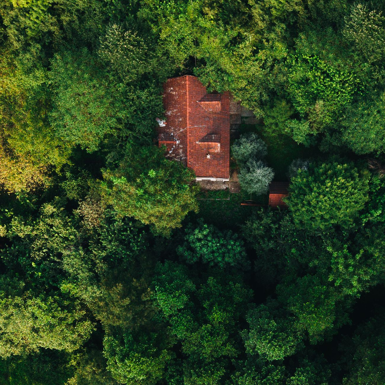 Carbon Credit Project Verification Data Collection