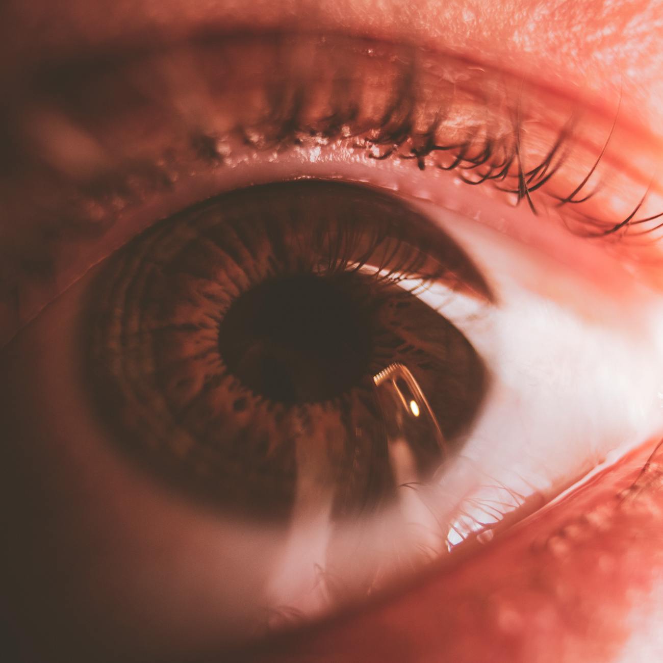 Clinical Assessment and Diagnosis