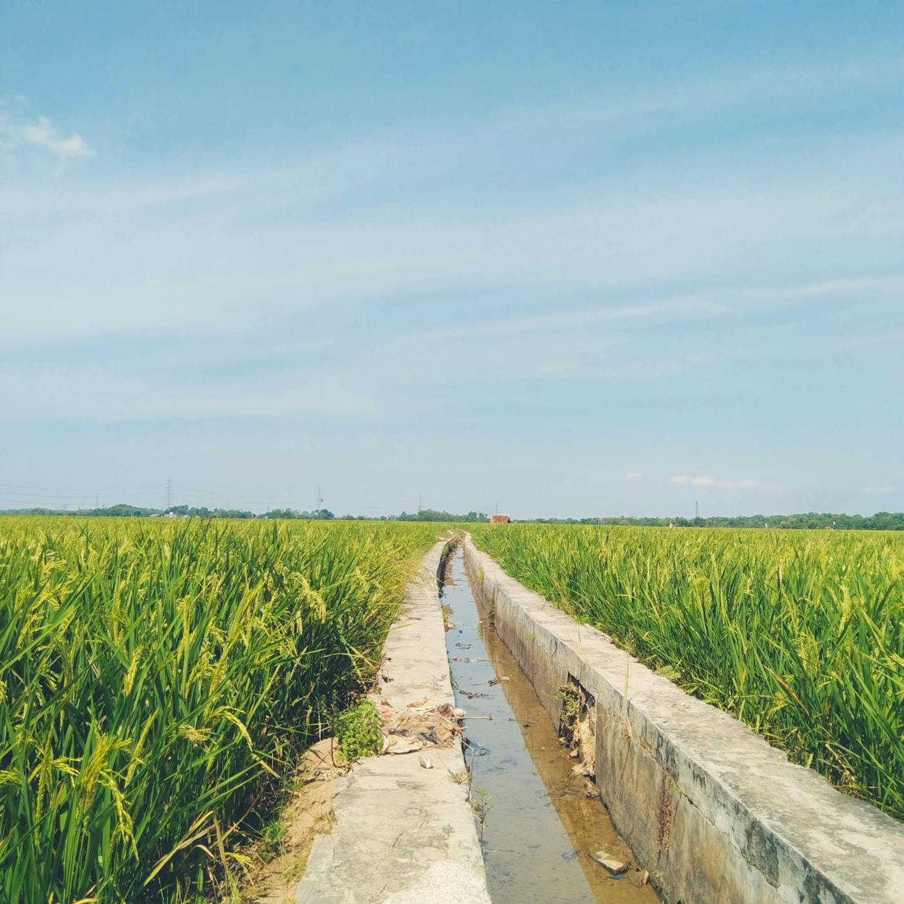 Water Management Systems