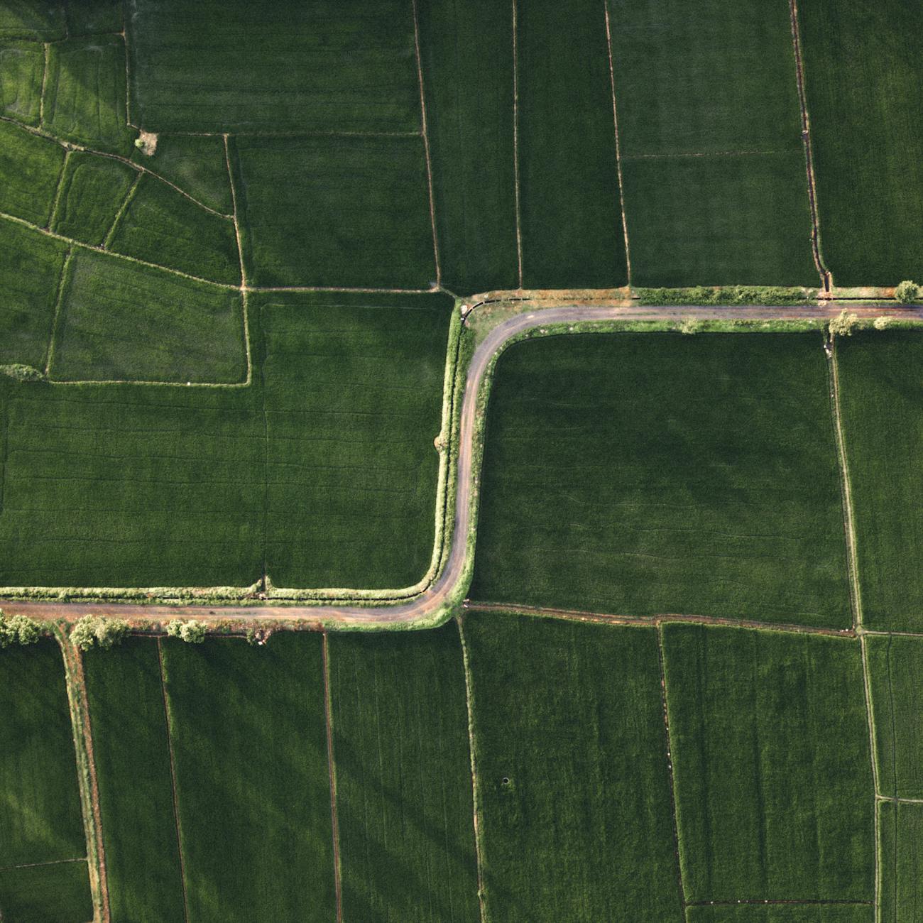 Permaculture Design Principles