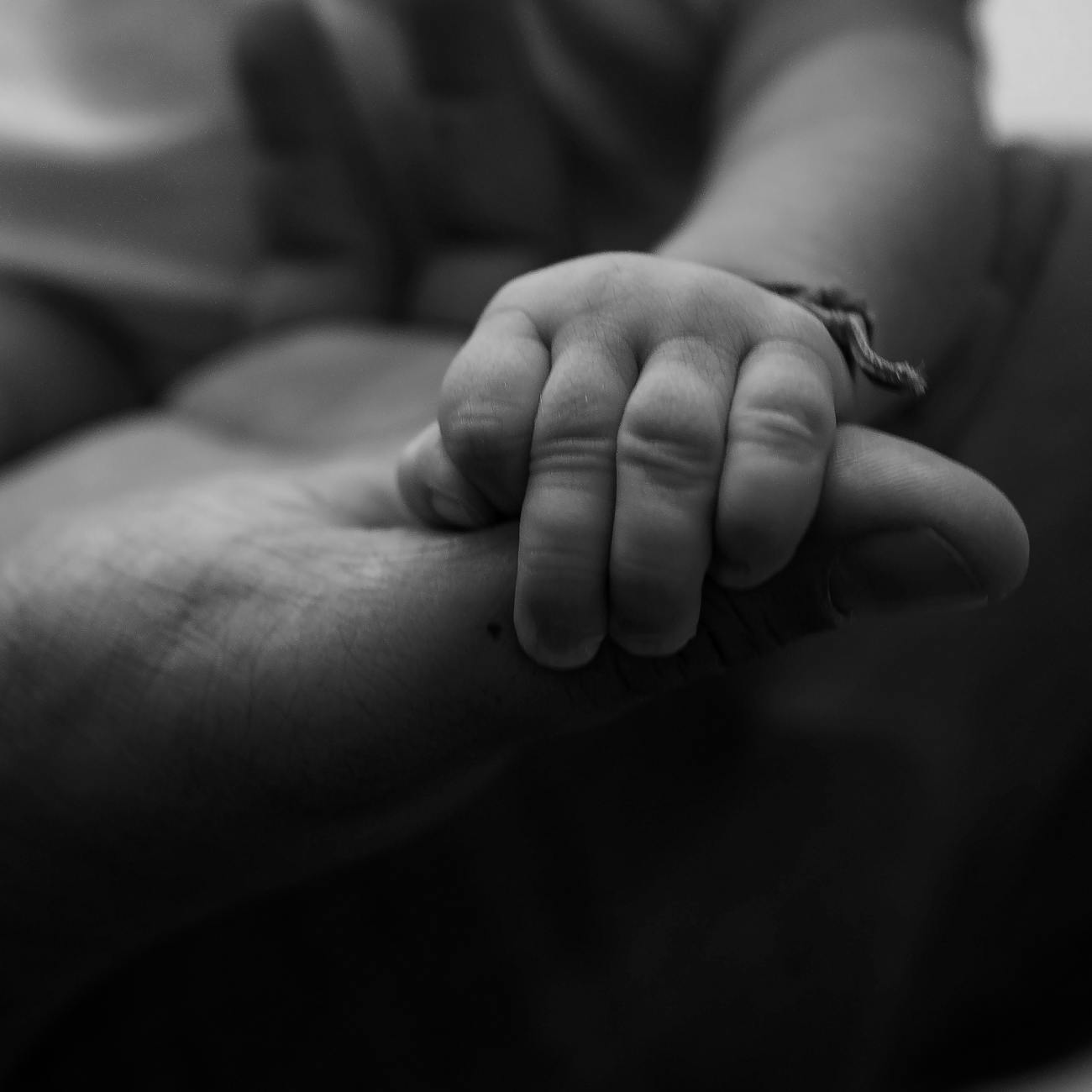 Building Resilience in Families