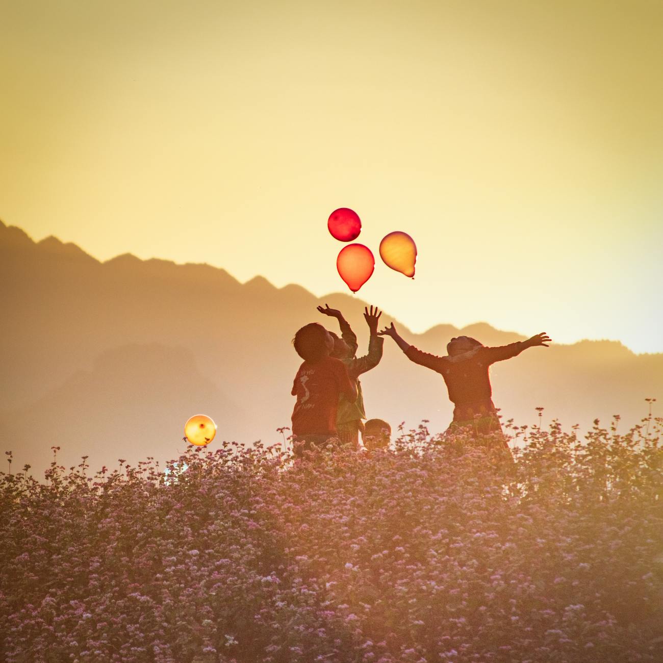 Promoting Emotional Wellbeing in Different Populations