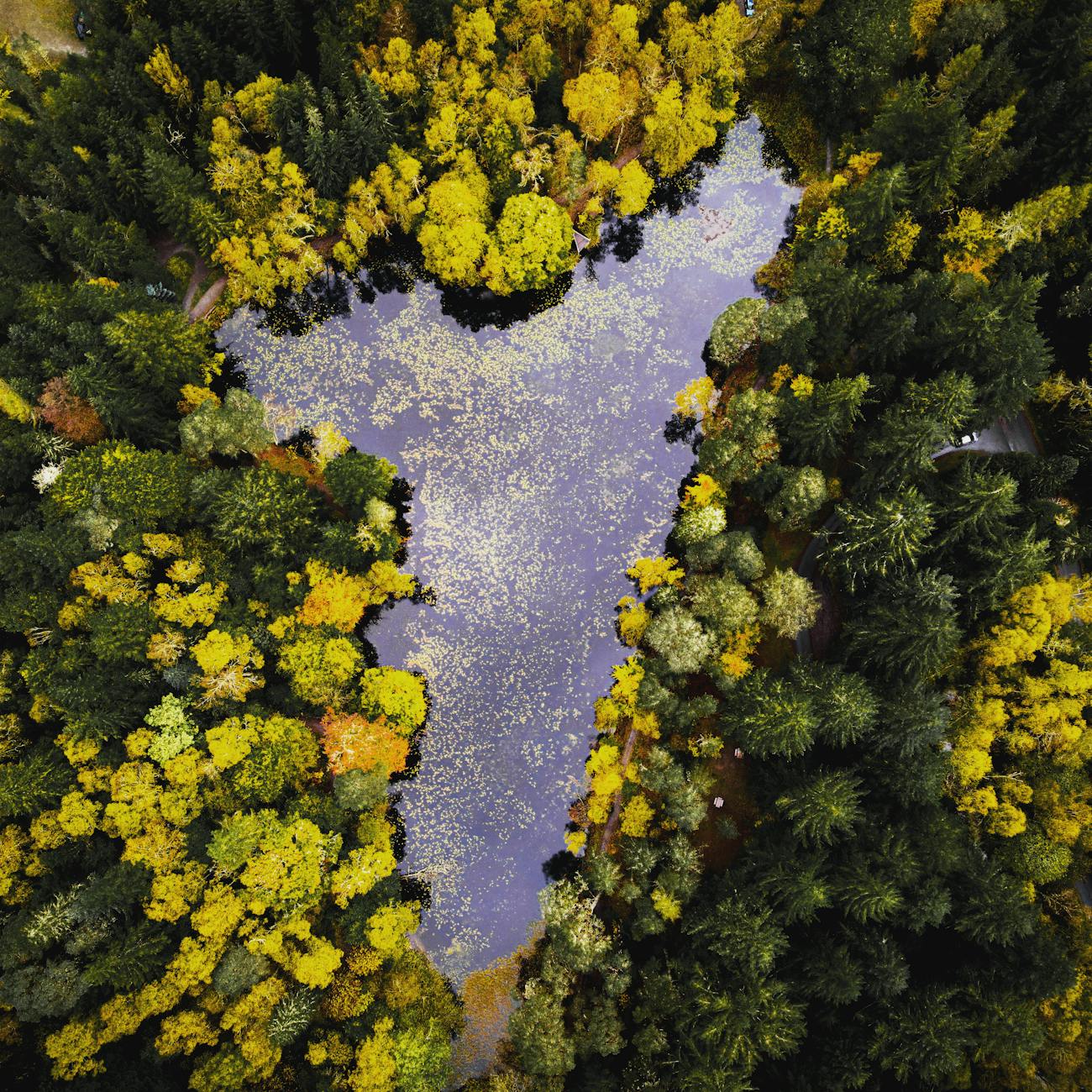 Introduction to Artificial Intelligence and Environmental Science