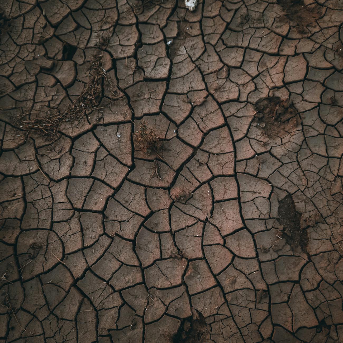 Climate Change Prediction and Adaptation Strategies