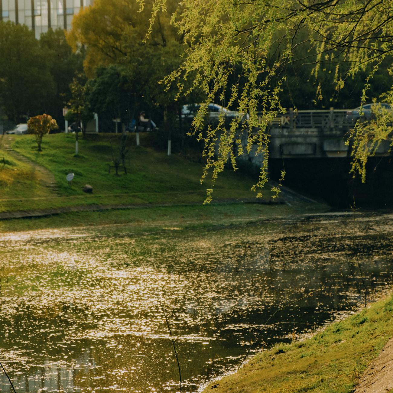 Water Quality Management Strategies