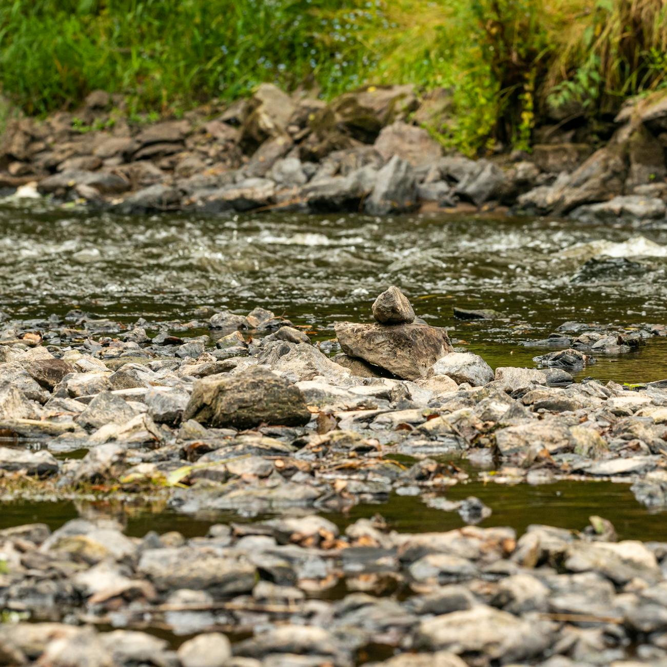 Water Quality Risk Assessment