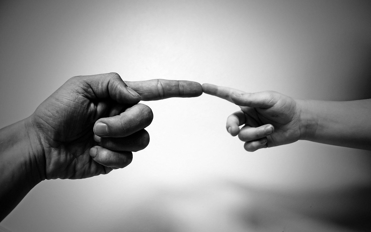 Palliative Care and End-of-Life Support