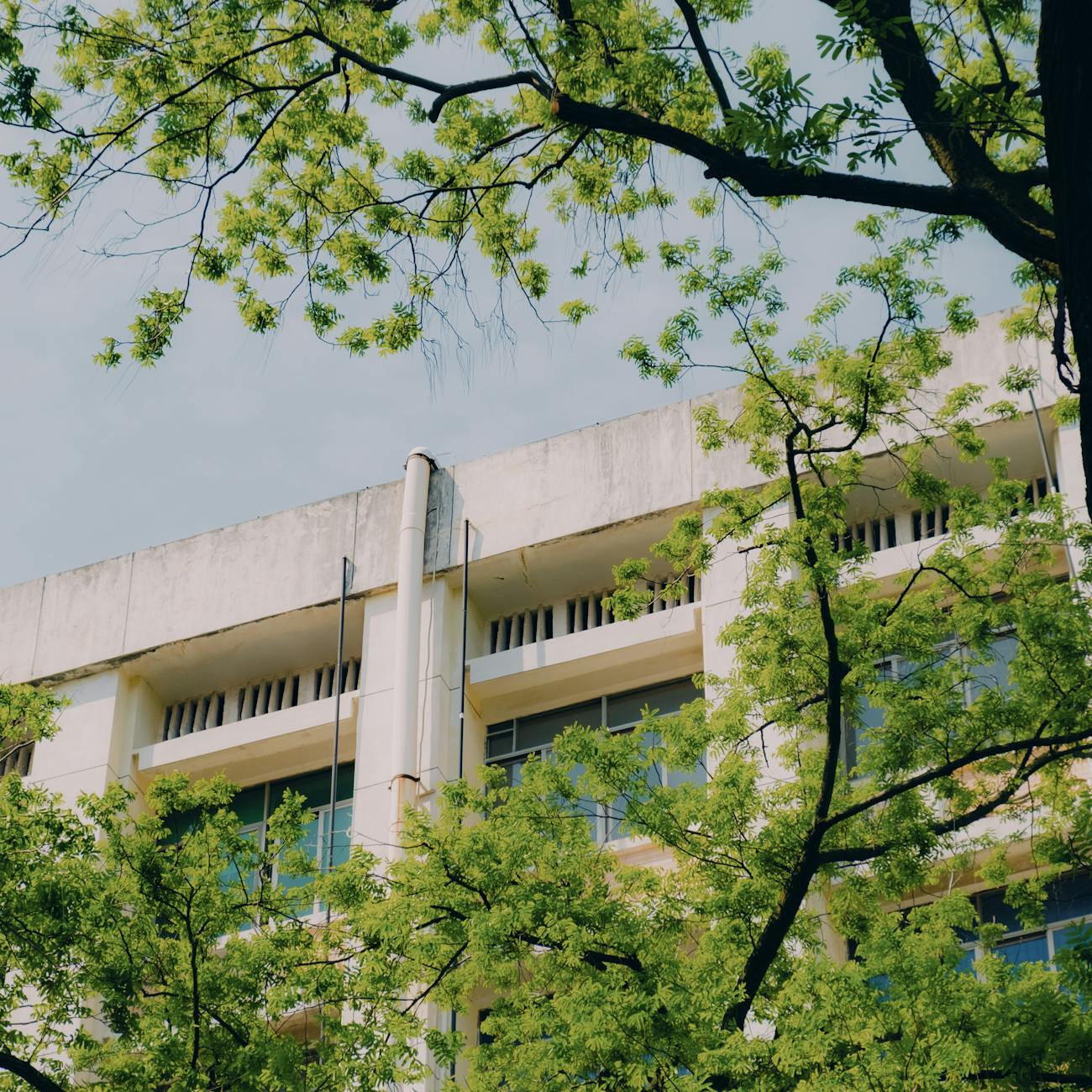 Building a Culture of Wellbeing