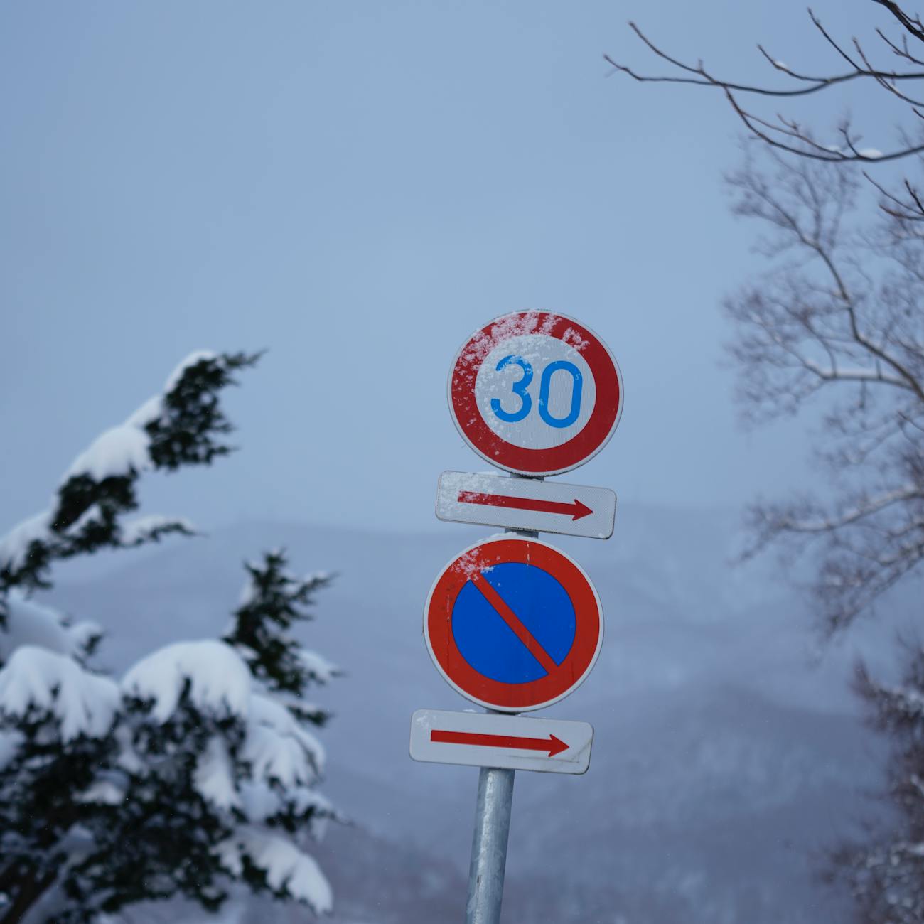 Cyber Risk Regulation
