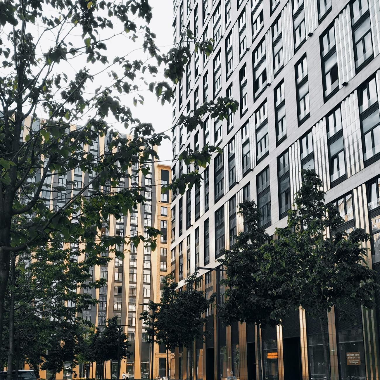 International Real Estate Finance