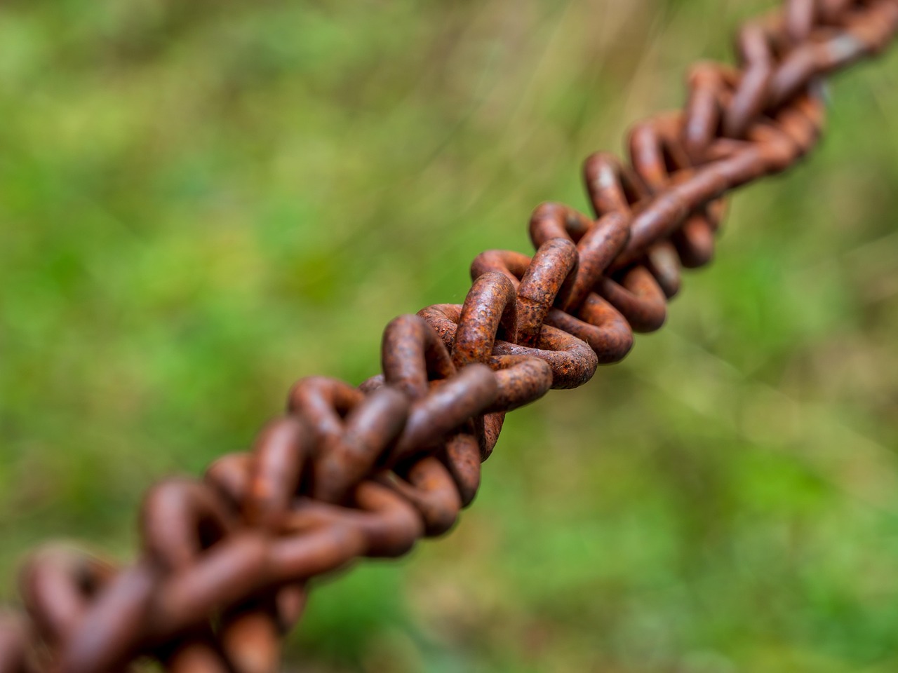 Supply Chain Sustainability