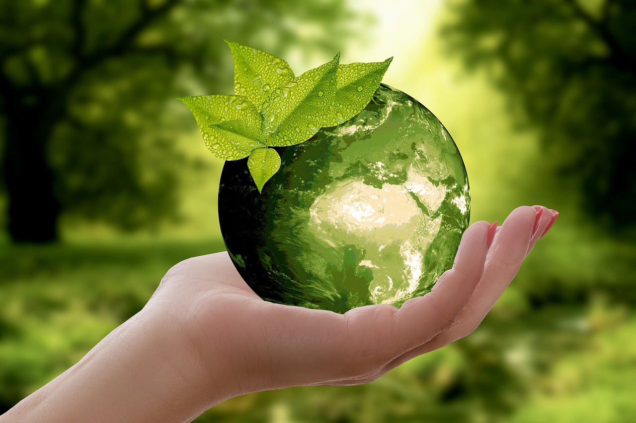 Unit 10: Certified Sustainable Wine Programs and Best Practices.