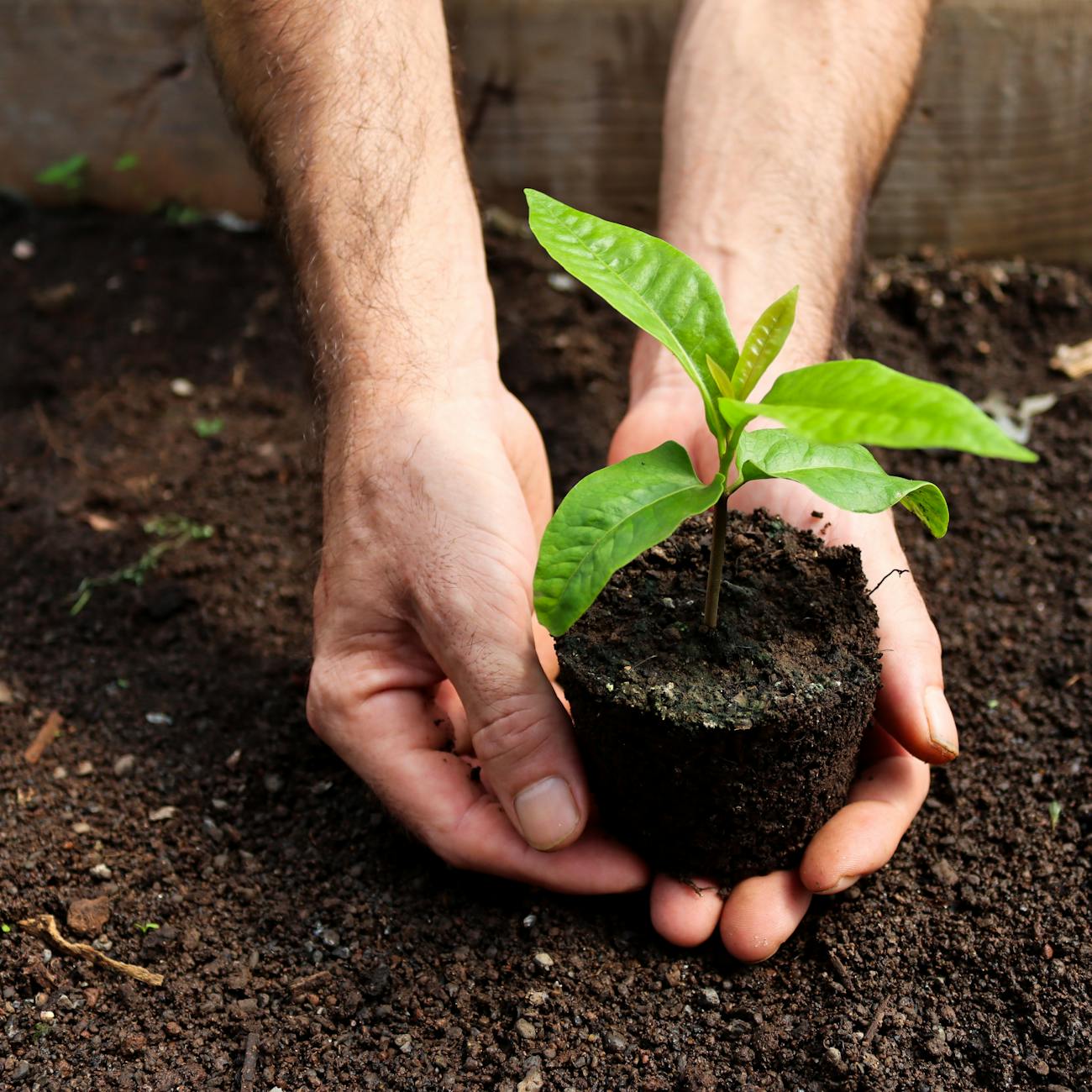 Unit Seven: Carbon Footprint of Supply Chains