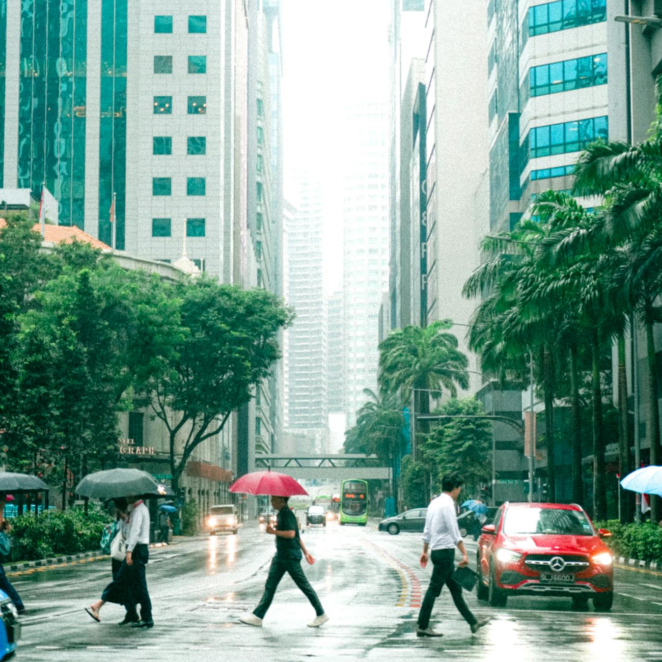 Unit 2: Understanding the CDP Reporting Framework