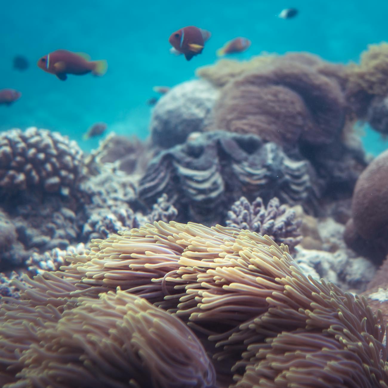 Marine Wildlife Law