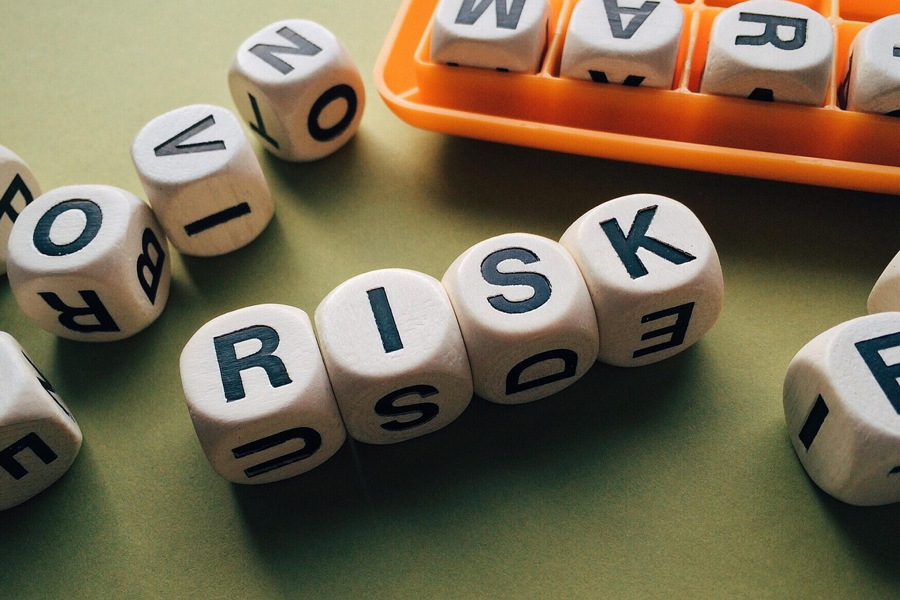 Enterprise Risk Management