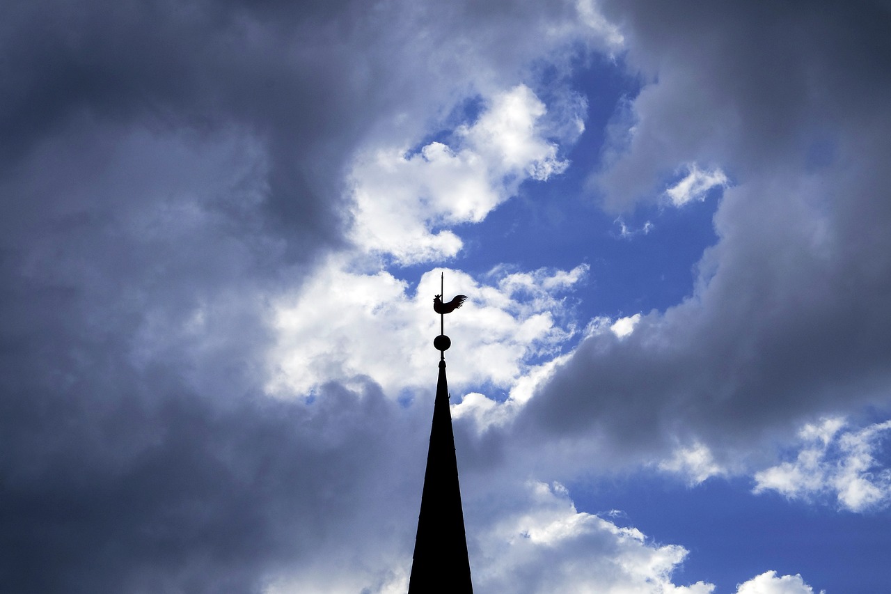Human Behavior in Urban Environments