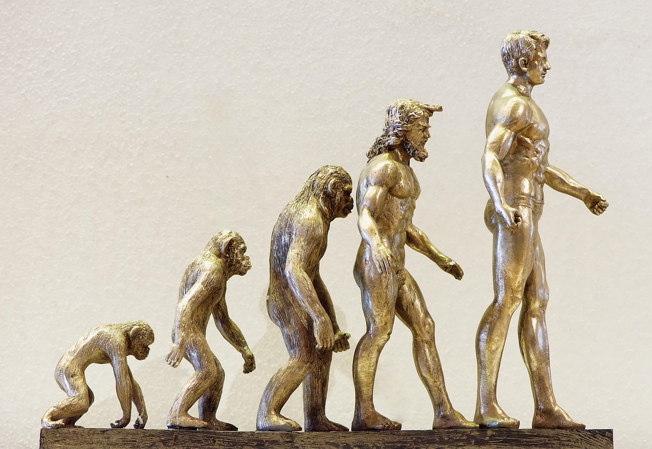 Understanding and Analyzing Behavioral Data.