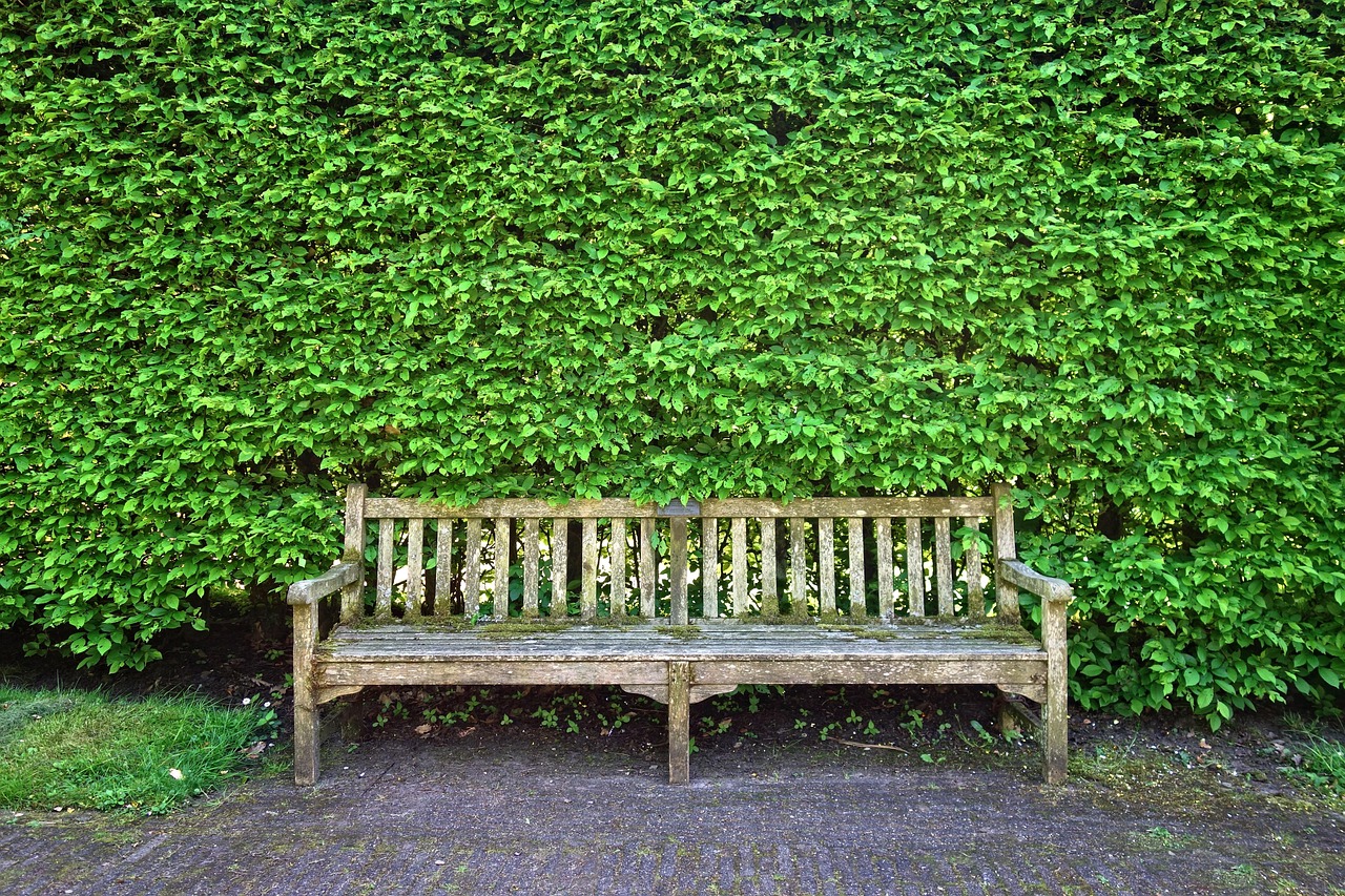 Introduction to Hedge Accounting